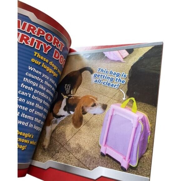 Nickelodeon Paw Patrol Real Rescue Dogs Childrens Book - Picture 6 of 9
